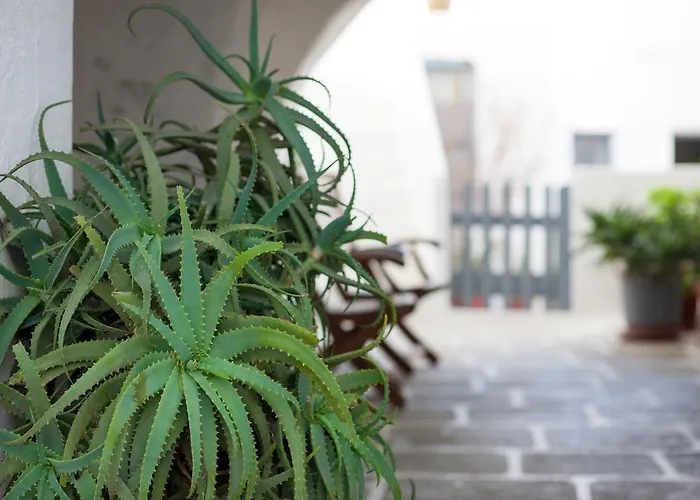 Castro Pensión Folégandros