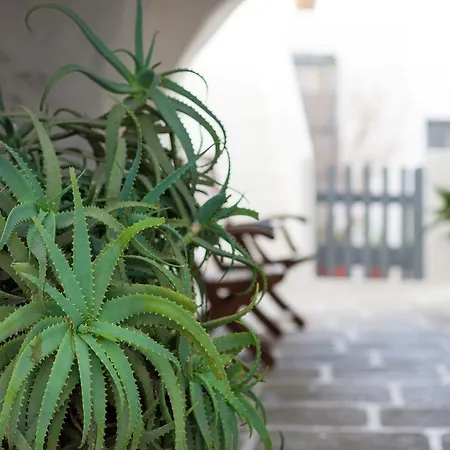 Castro Pensjonat Folégandros